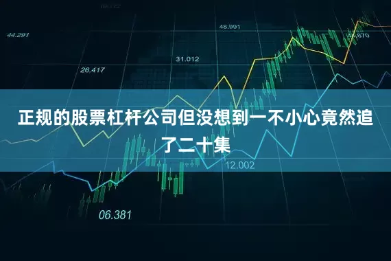 正规的股票杠杆公司但没想到一不小心竟然追了二十集