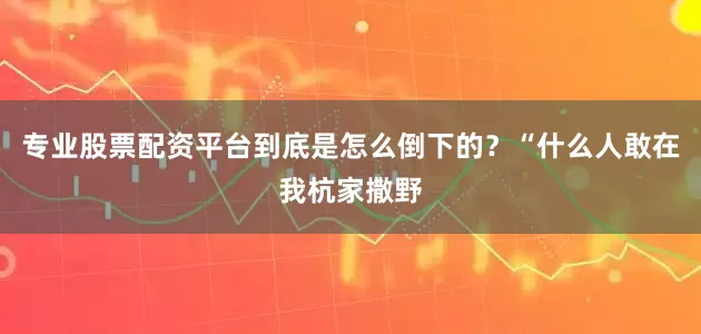 专业股票配资平台到底是怎么倒下的？“什么人敢在我杭家撒野