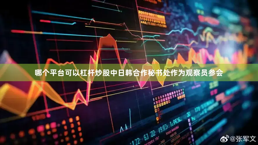 哪个平台可以杠杆炒股中日韩合作秘书处作为观察员参会