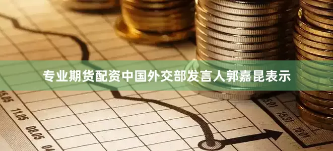 专业期货配资中国外交部发言人郭嘉昆表示